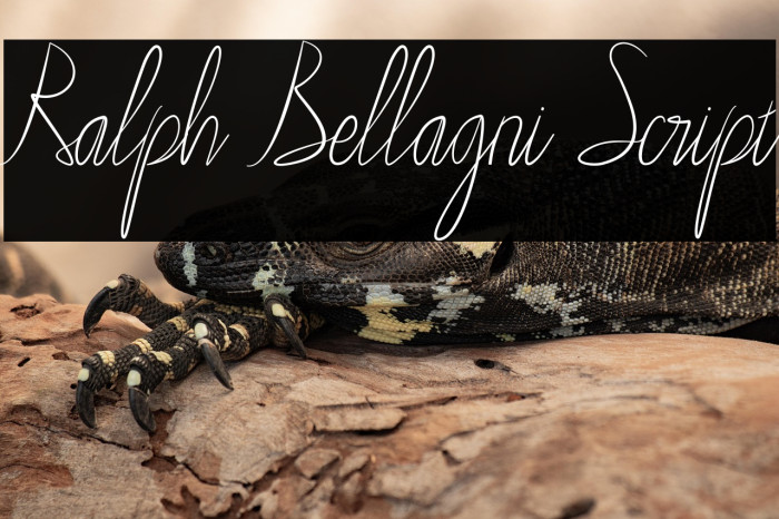 Ralph Bellagni Script Example 3