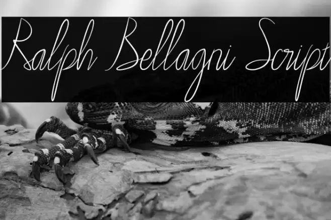 Ralph Bellagni Script Caratteri examples