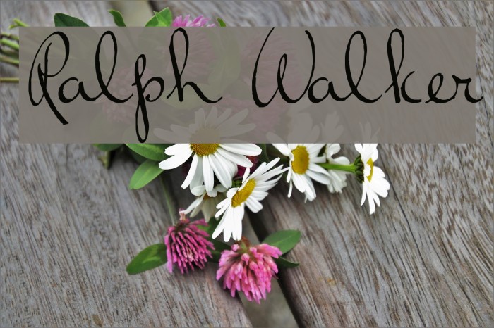 Ralph Walker Font examples