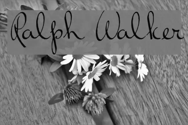 Ralph Walker Font examples