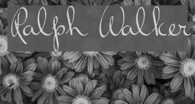 Ralph Walker Font examples