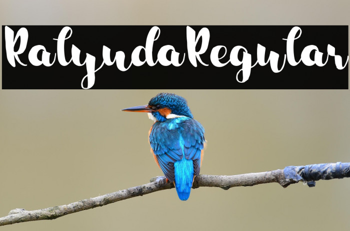 RalyndaRegular Example 1