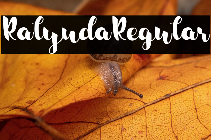 RalyndaRegular Example 2