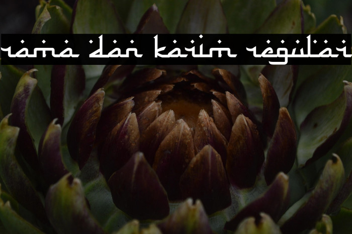 Rama dan Karim Regular Example 2