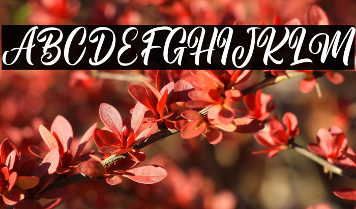 Ramadhan Mubarak Example 3