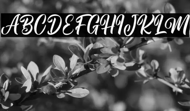 Ramadhan Mubarak Font examples