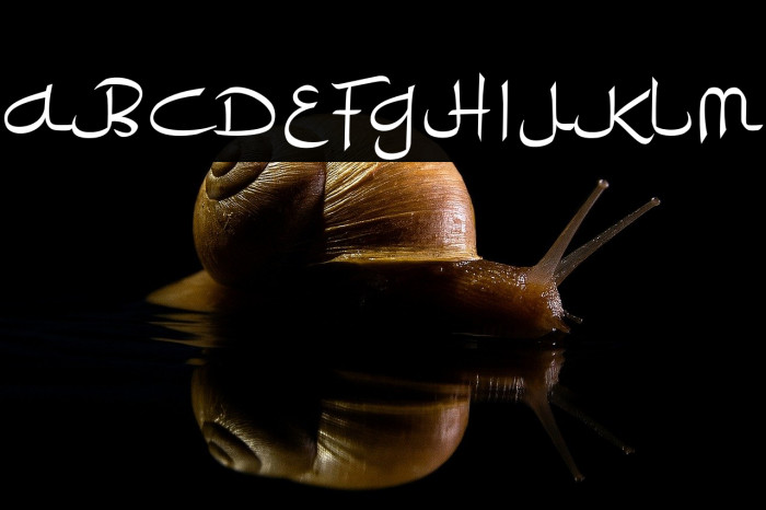 RamadhanKarim Example 1