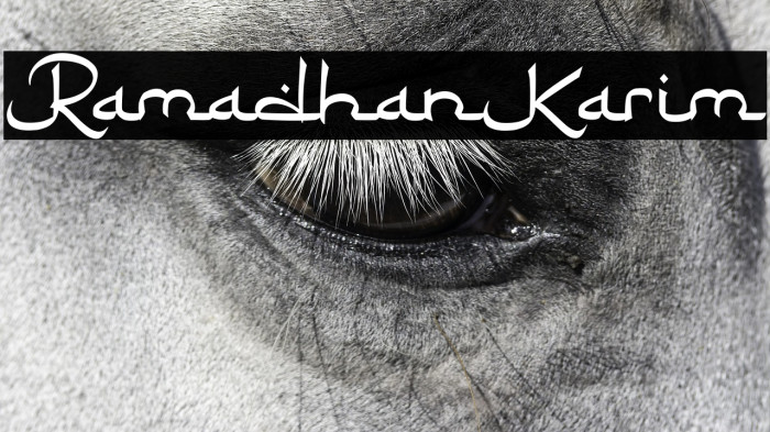 RamadhanKarim Example 2