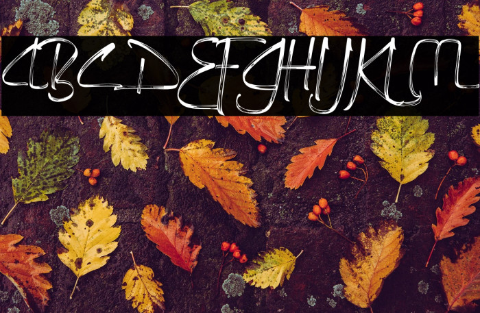 RamadhanStuff-Regular Example 2