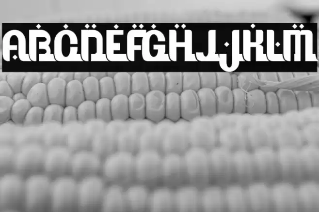 Ramadhani Font examples