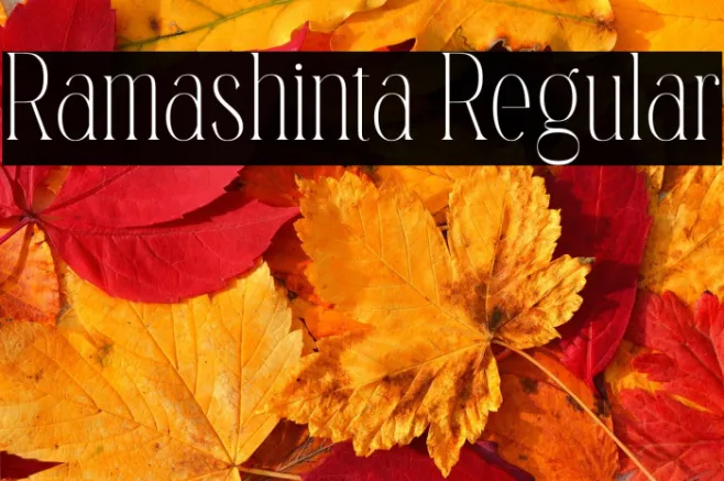 Ramashinta Regular Example 1