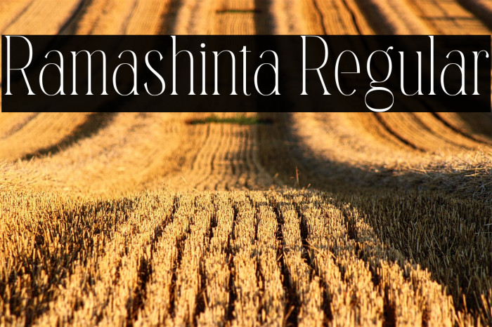 Ramashinta Regular Example 3