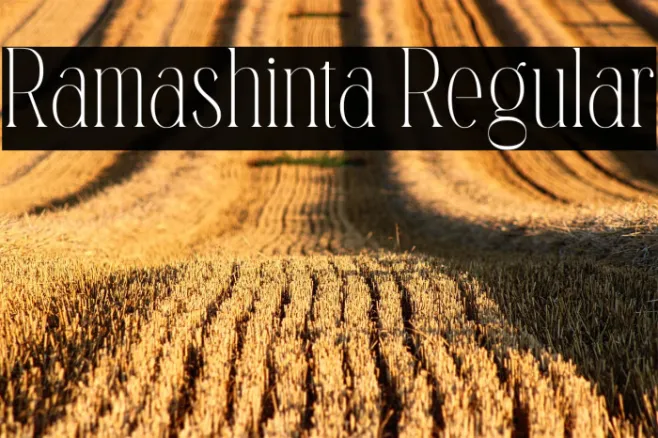 Ramashinta Regular Example 3