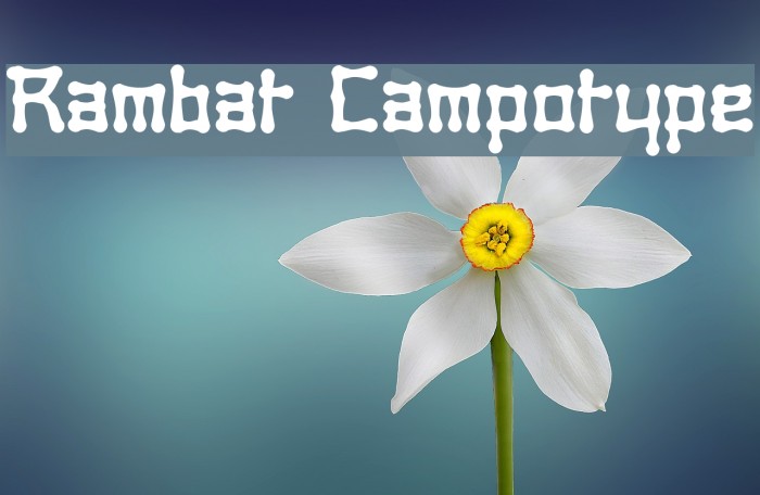 Rambat Campotype Example 1