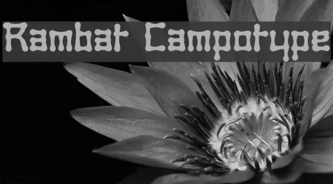 Rambat Campotype Font examples
