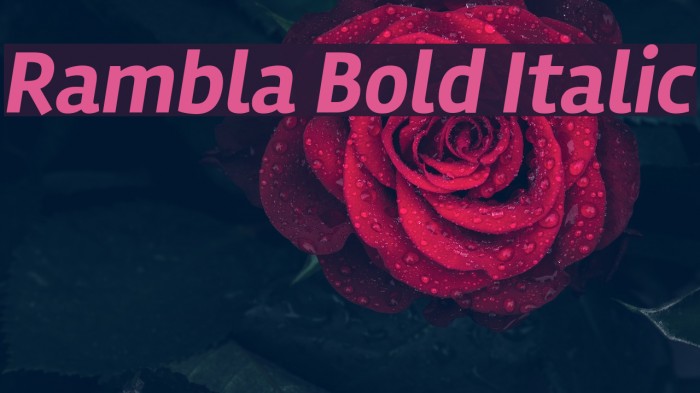 Rambla Bold Italic Font examples