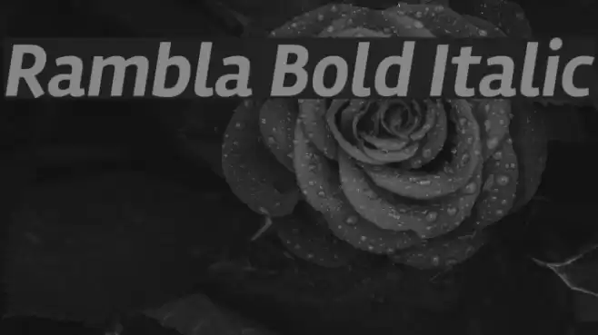 Rambla Bold Italic  examples