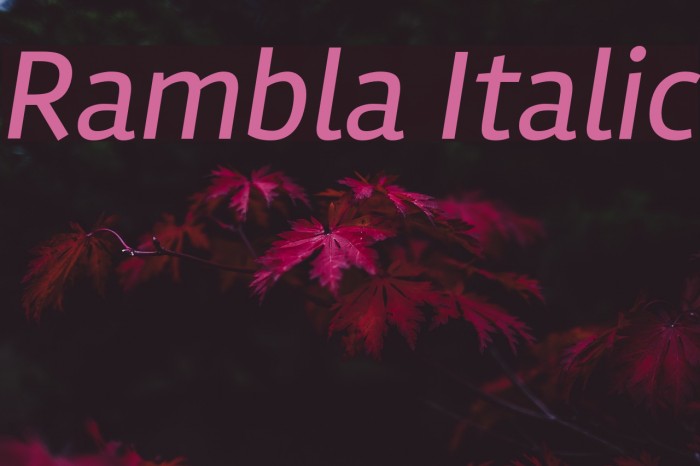 Rambla Italic Font examples