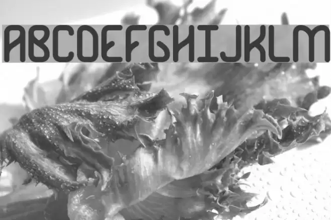 Rambling BRK Font examples