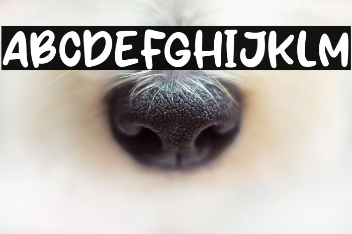 Rambutan Days Example 1