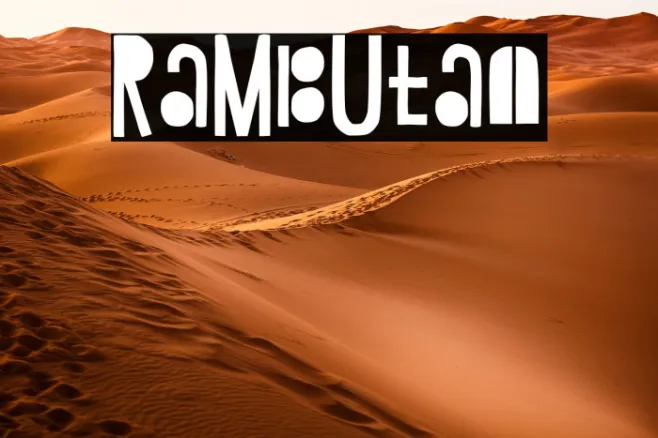 Rambutan Example 1