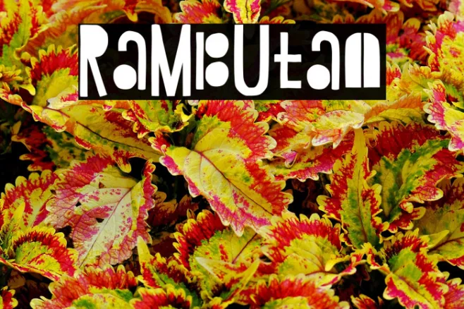 Rambutan Example 2