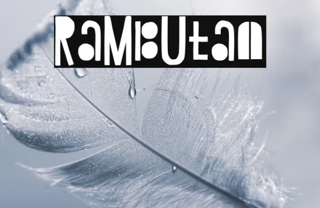 Rambutan Example 3