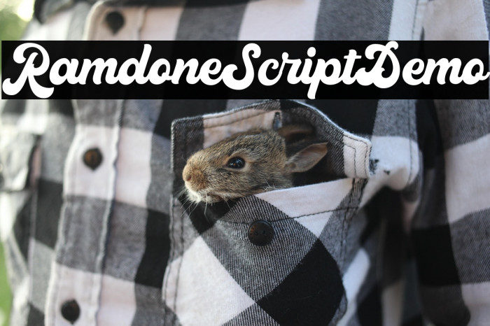 RamdoneScriptDemo Example 1