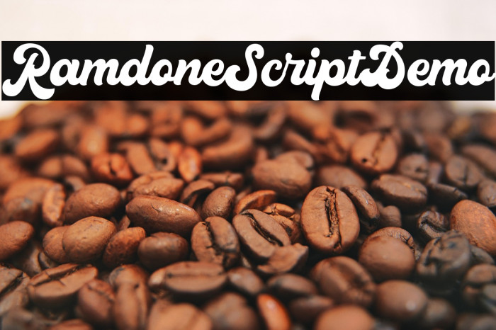 RamdoneScriptDemo Example 2