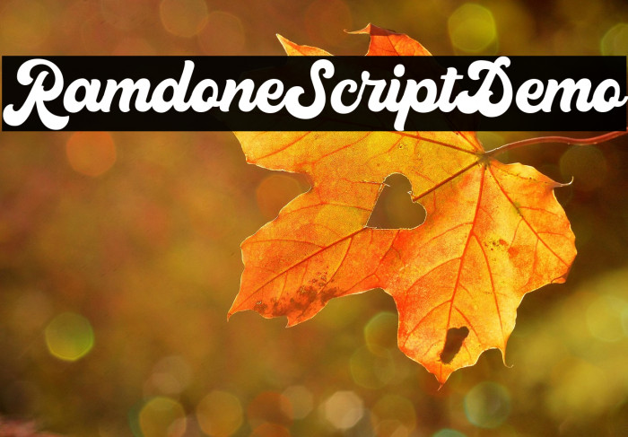 RamdoneScriptDemo Example 3