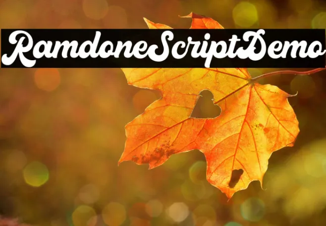 RamdoneScriptDemo Example 3