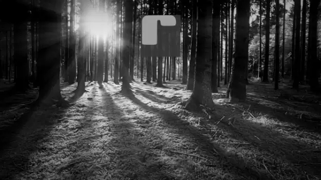 Ramedio Font examples