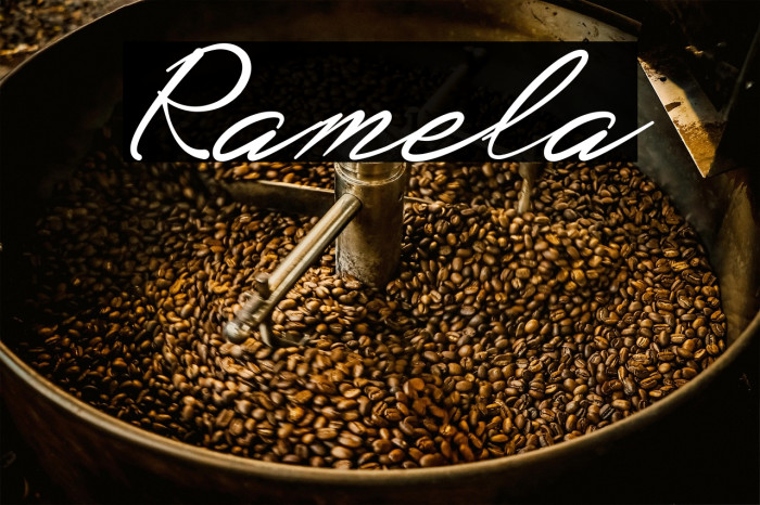 Ramela Example 1