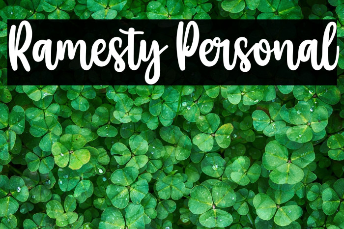 Ramesty Personal Example 1