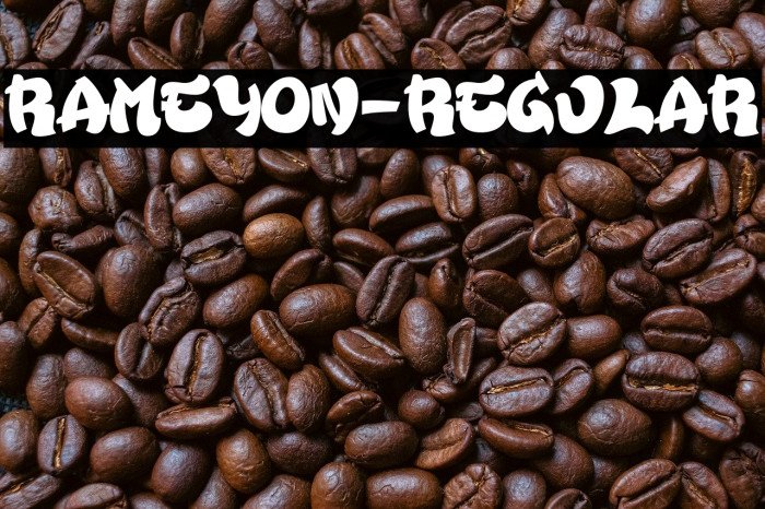 Rameyon-Regular Example 2