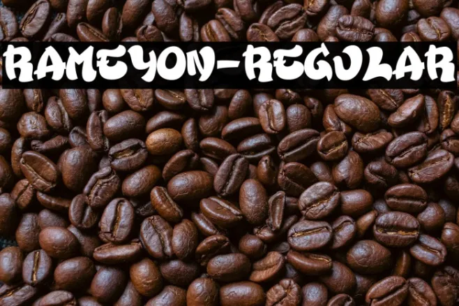 Rameyon-Regular Example 2
