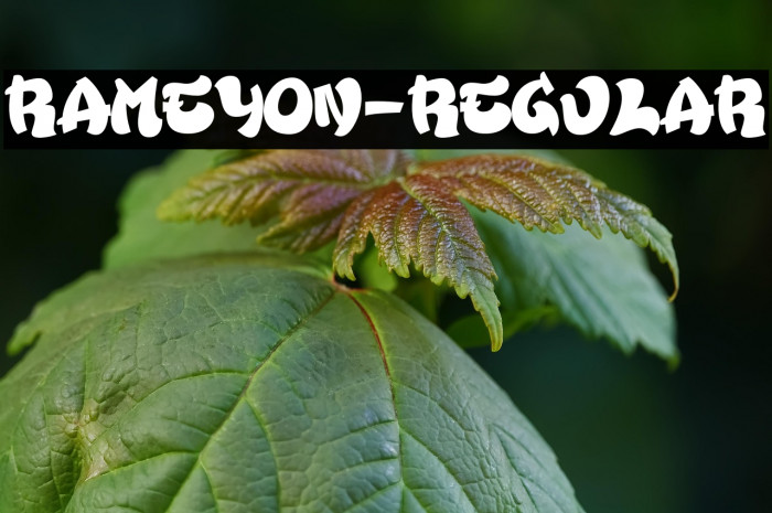 Rameyon-Regular Example 3