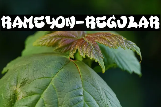 Rameyon-Regular Example 3