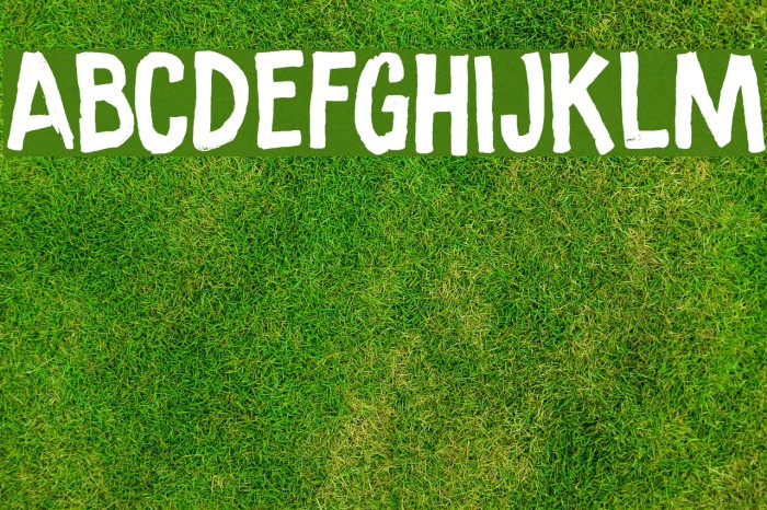 Ramkoers DEMO Regular Example 2