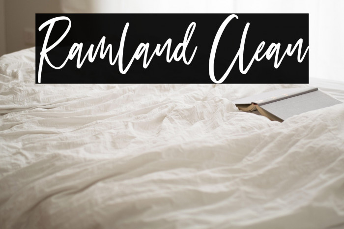 Ramland Clean Example 2