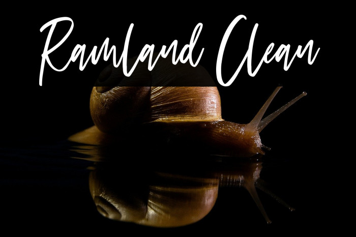 Ramland Clean Example 3