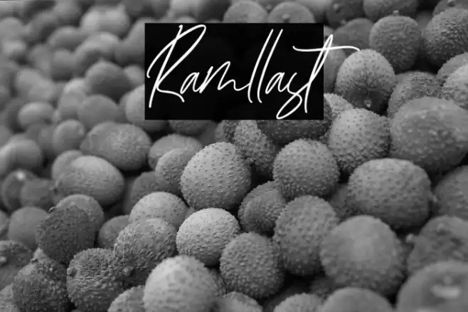 Ramllast Font examples