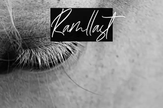 Ramllast Font examples