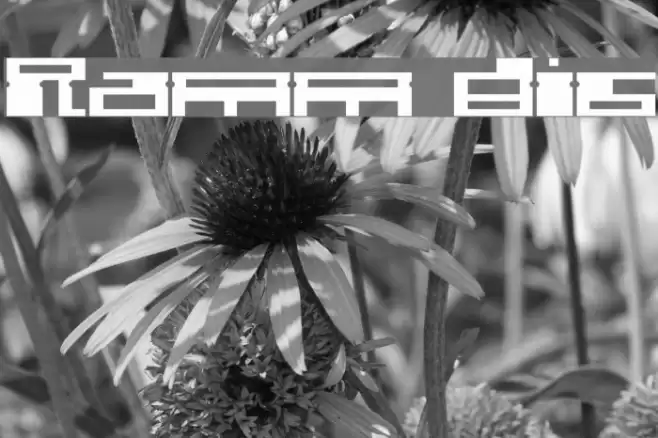 Ramm disc フォント examples