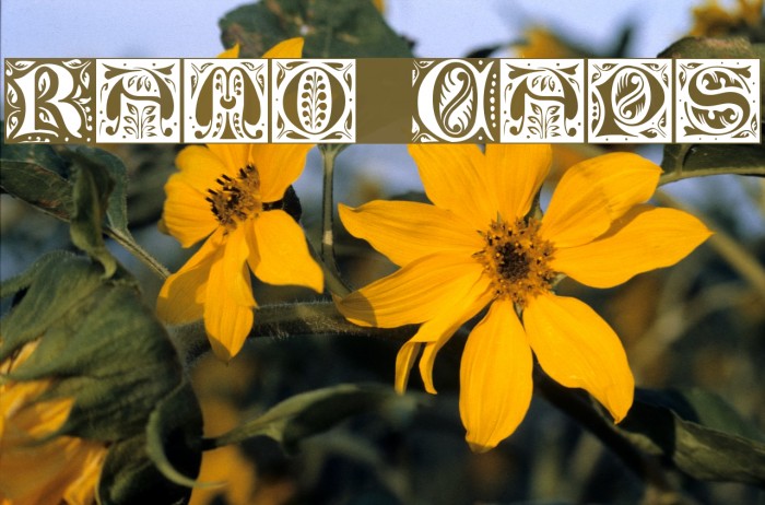 Ramo Caps Font examples