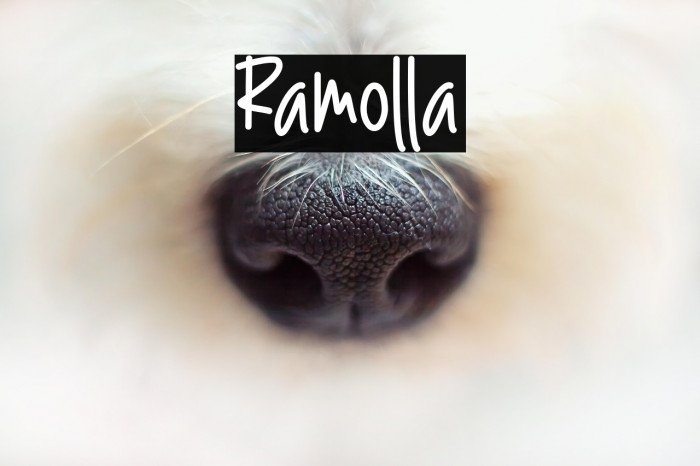 Ramolla Example 1
