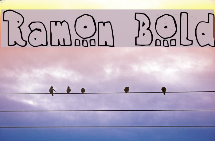Ramon Bold Font examples