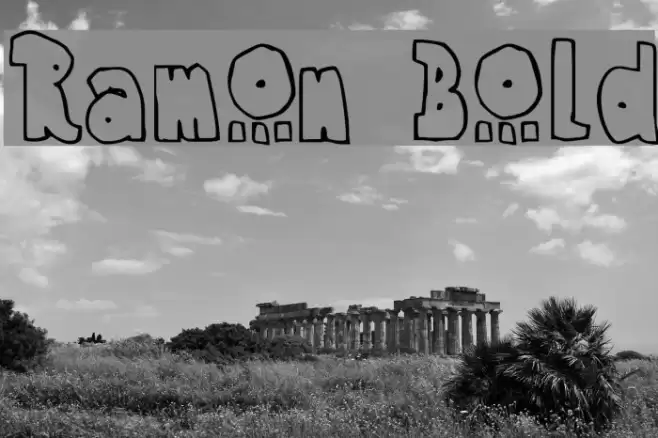 Ramon Bold Font examples
