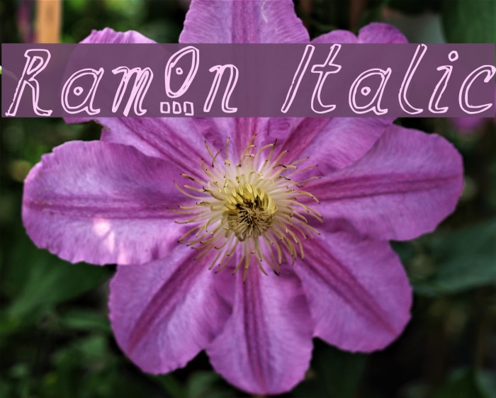 Ramon Italic Font examples