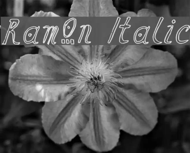 Ramon Italic Шрифта examples